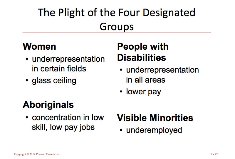 Employment equity visual
