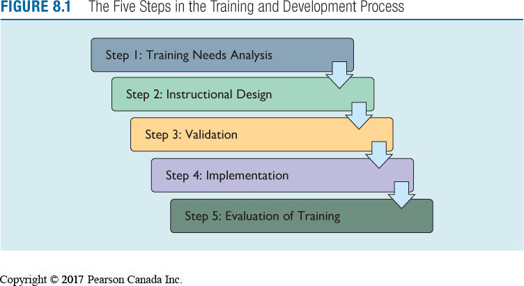 Training process diagram