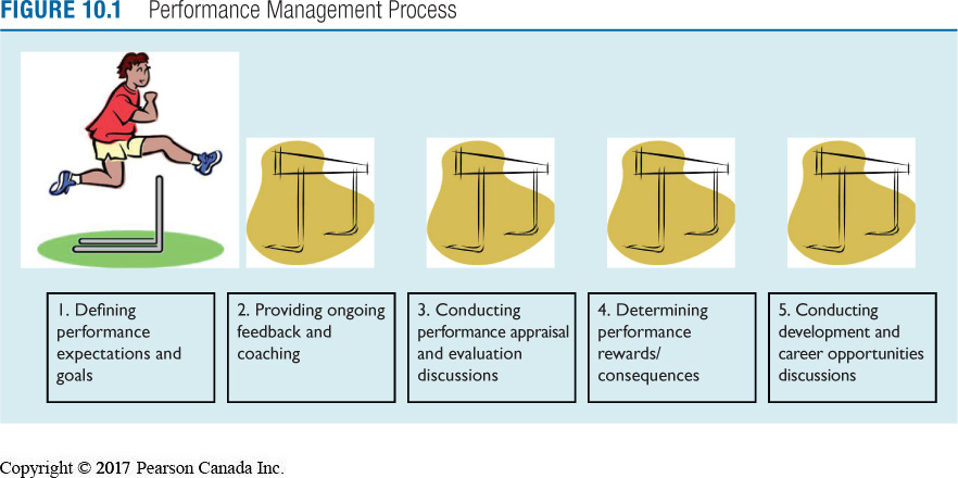 Performance management process