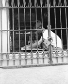 youth sitting in front of barred window