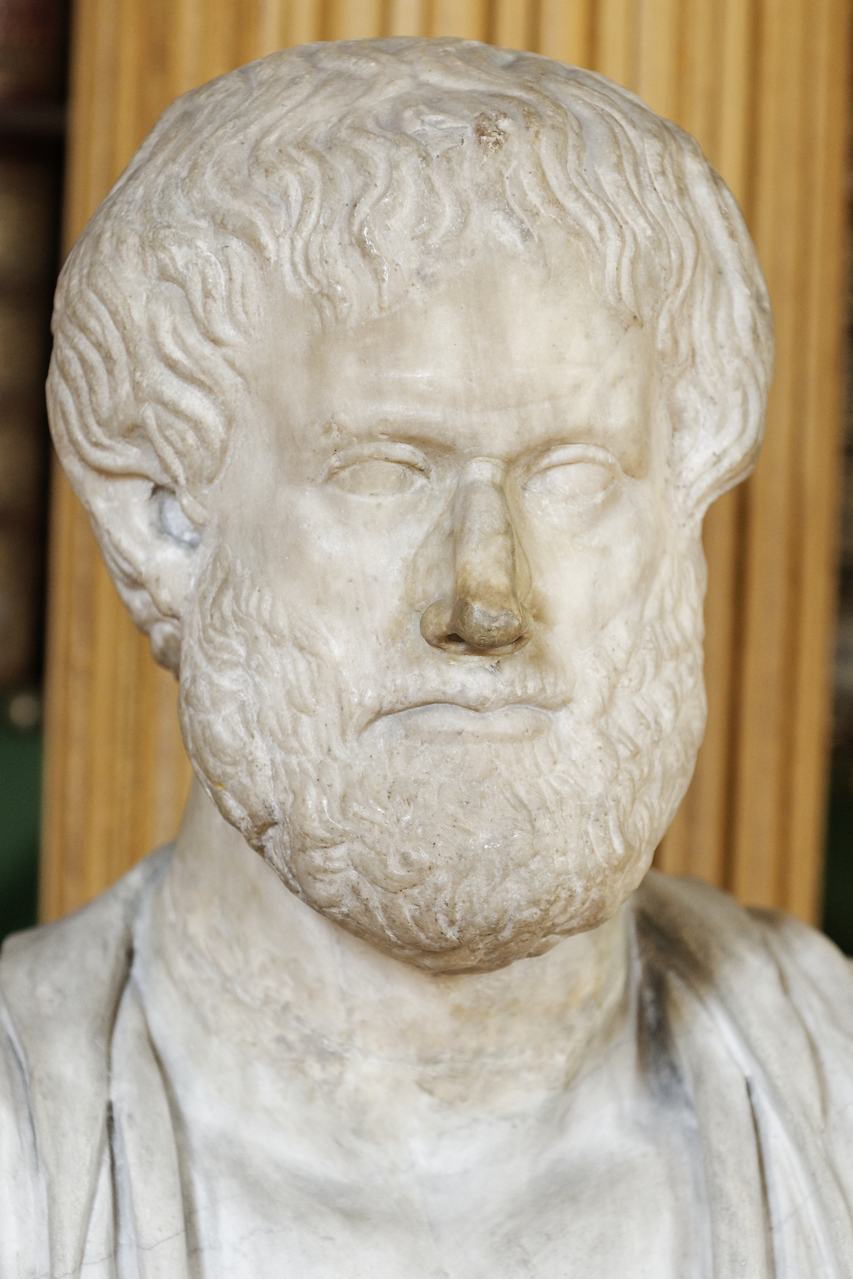 Aristotle, marble bust