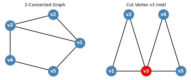 2-connected graph and graph with cut vertex