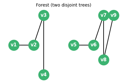A forest: two disjoint trees
