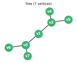 A tree with 7 vertices