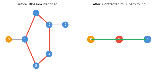 Blossom contracted to single vertex; augmenting path found in contracted graph