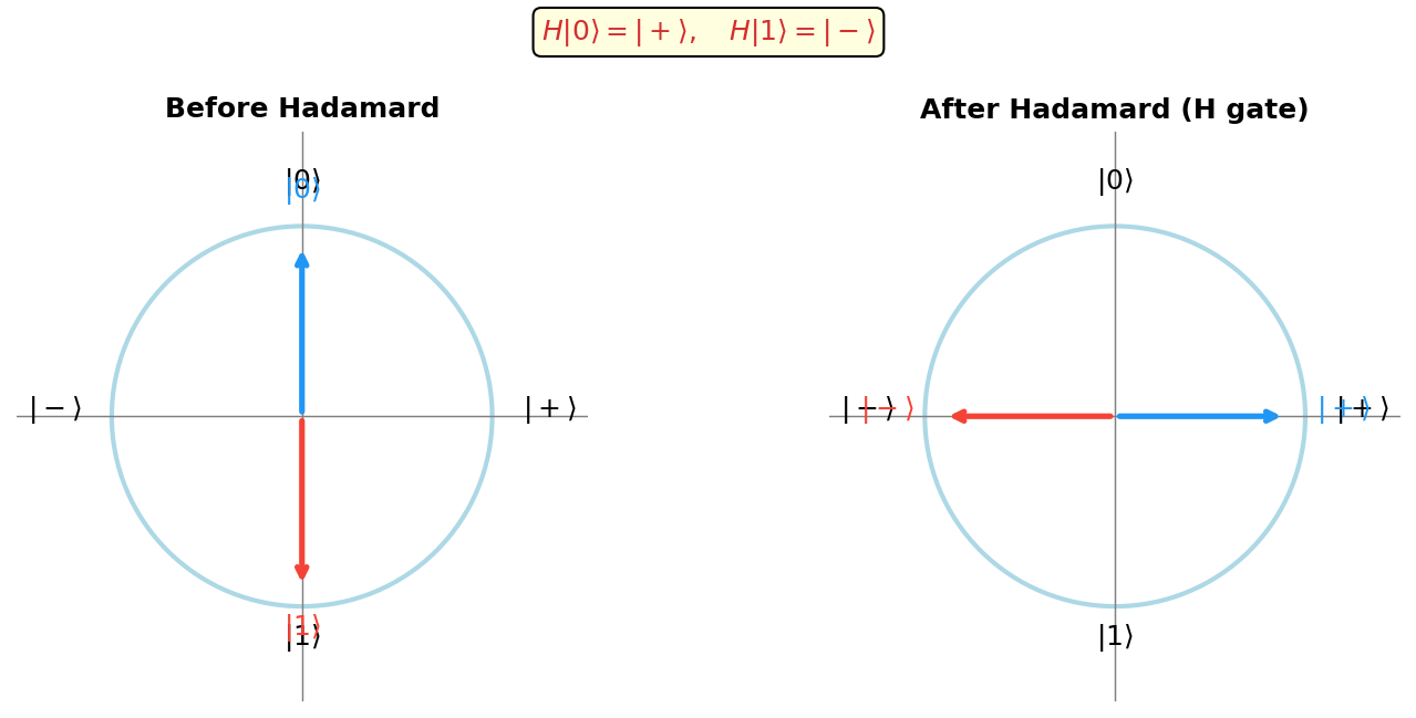 Hadamard gate effect on the Bloch sphere