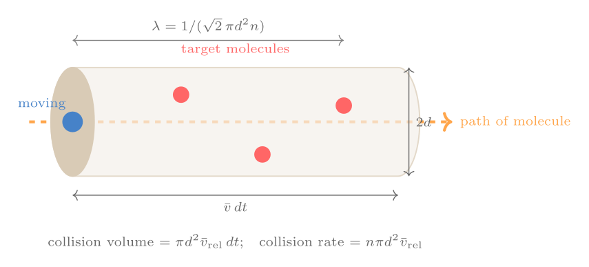 Mean-free-path geometry: collision cylinder swept by a molecule