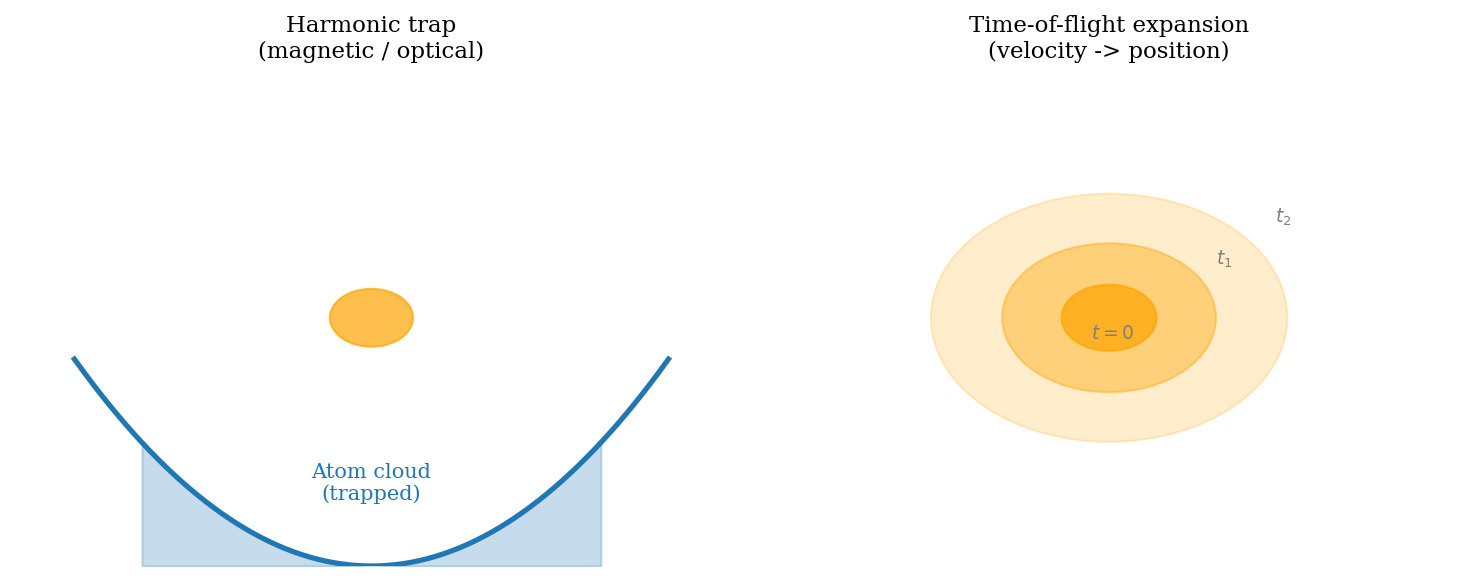 Magnetic trap and time-of-flight expansion